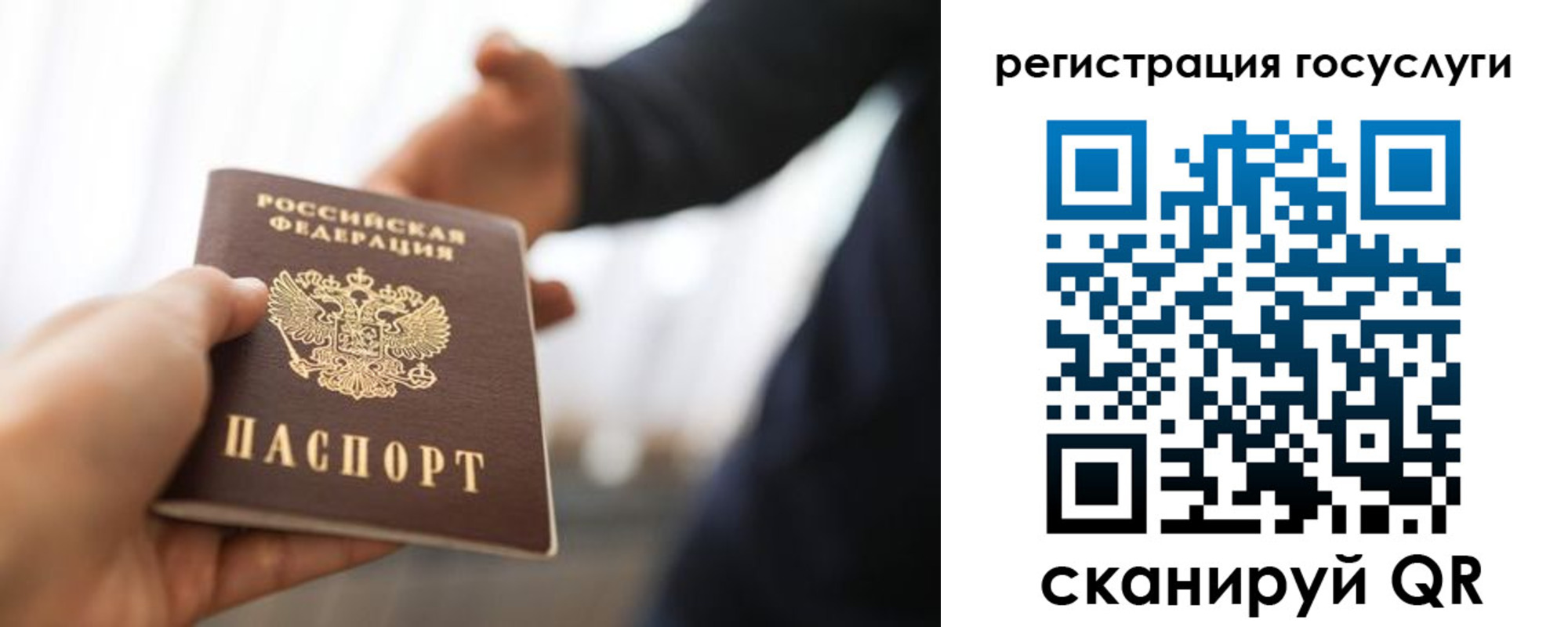 временная регистрация поиск в Светлом